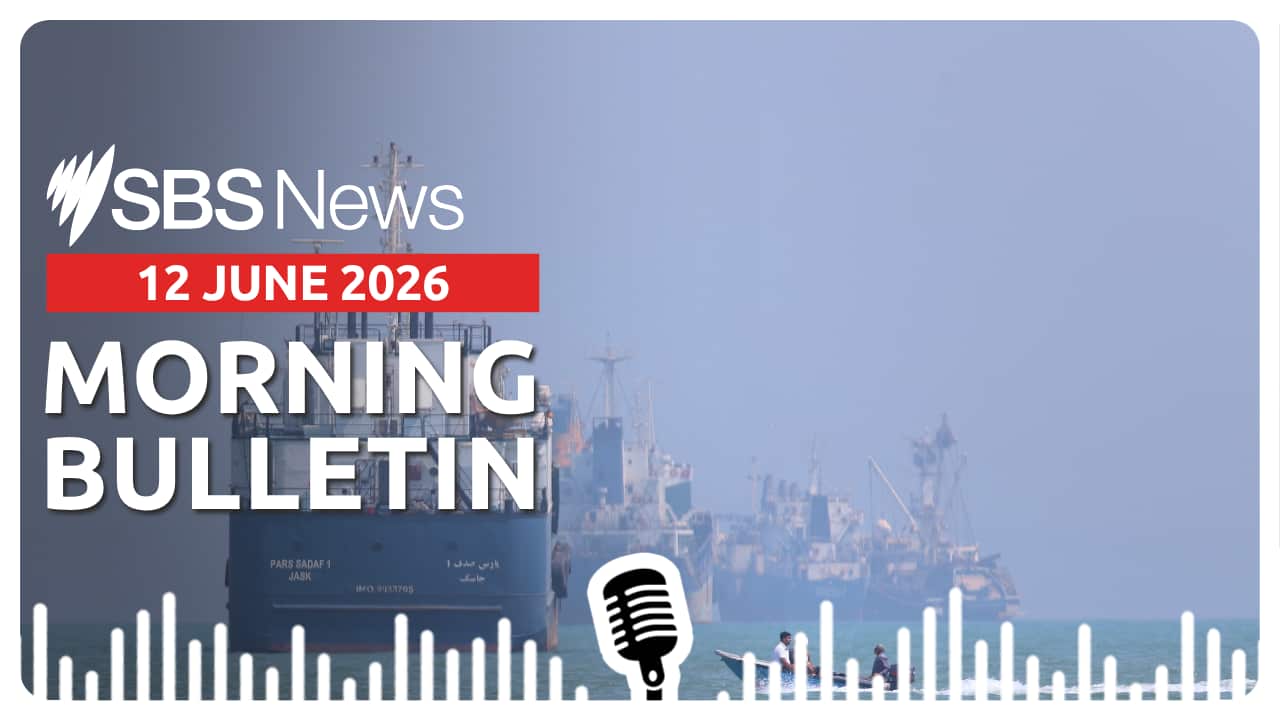 MORNING BULLETIN.png