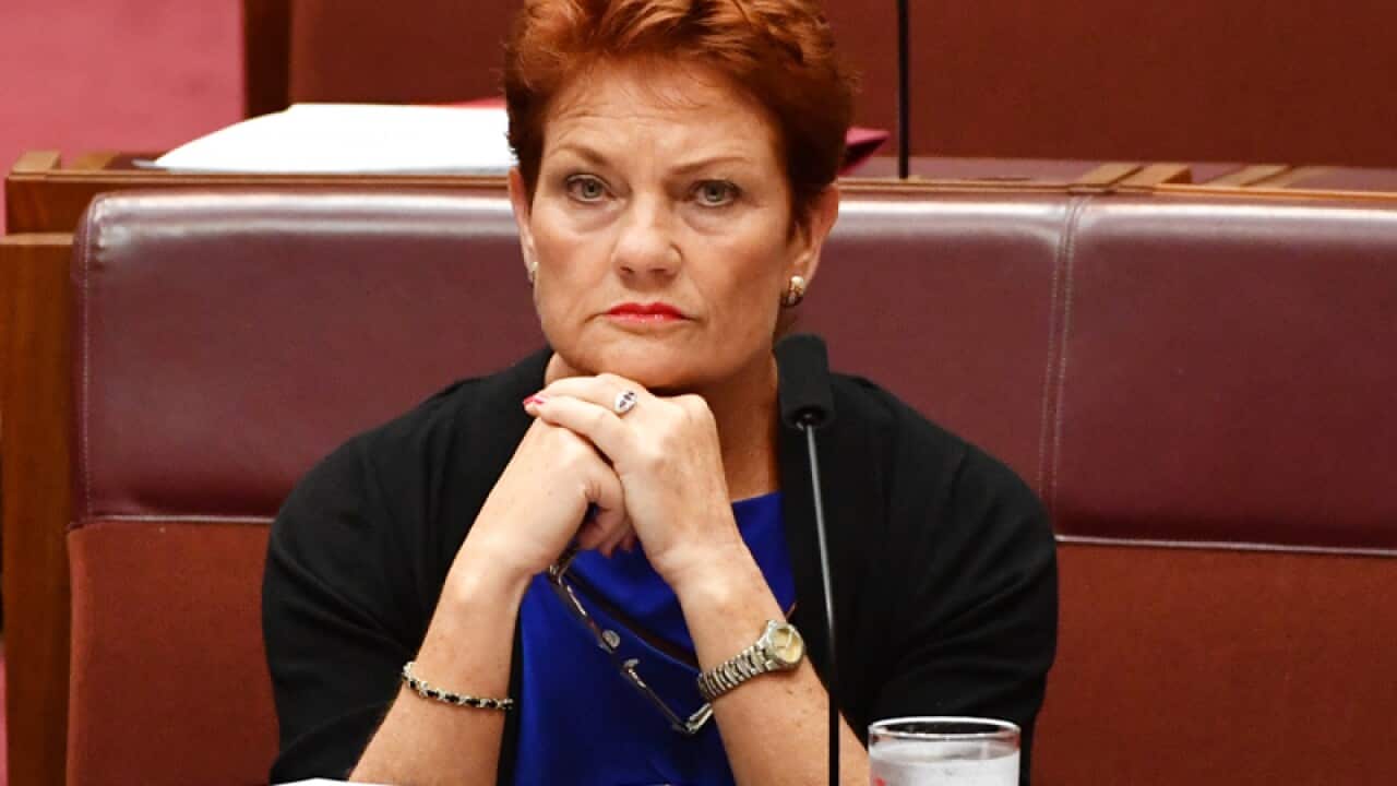 One Nation leader Senator Pauline Hanson