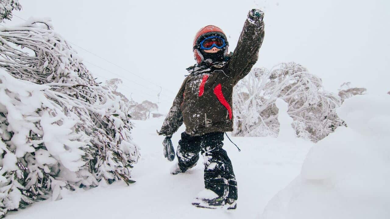 Supplied image obtained Friday, July 17, 2015 of a sightseer enjoys falling snow at the Perisher ski resort in NSW.