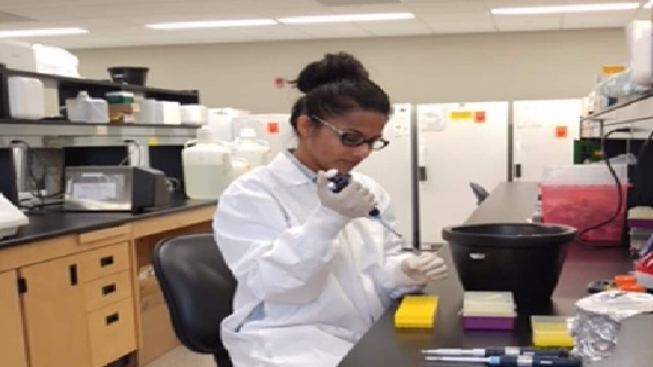 Sri Lankan researcher close to uncover how gut microbiota can help to solve some prominent health issues