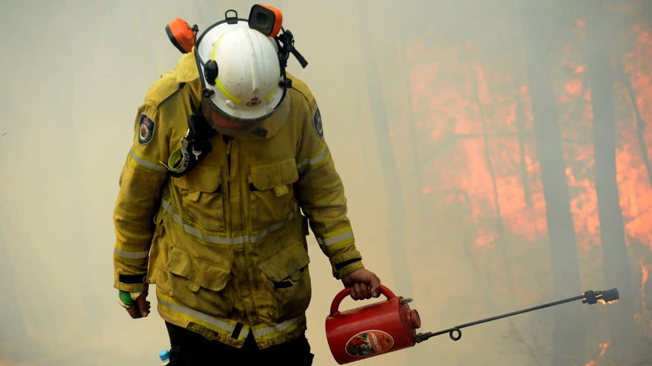 NSW Rural Fire fighters establish a backburn in Mangrove Mountain, New South Wales, Sunday, December 8, 2019. (AAP Image/Jeremy Piper) NO ARCHIVING