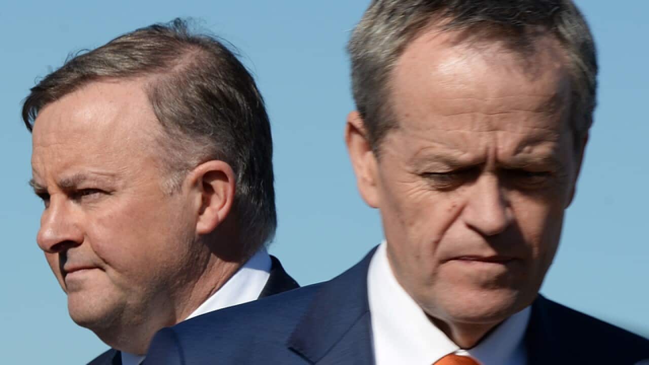 Bill Shorten and Anthony Albanese