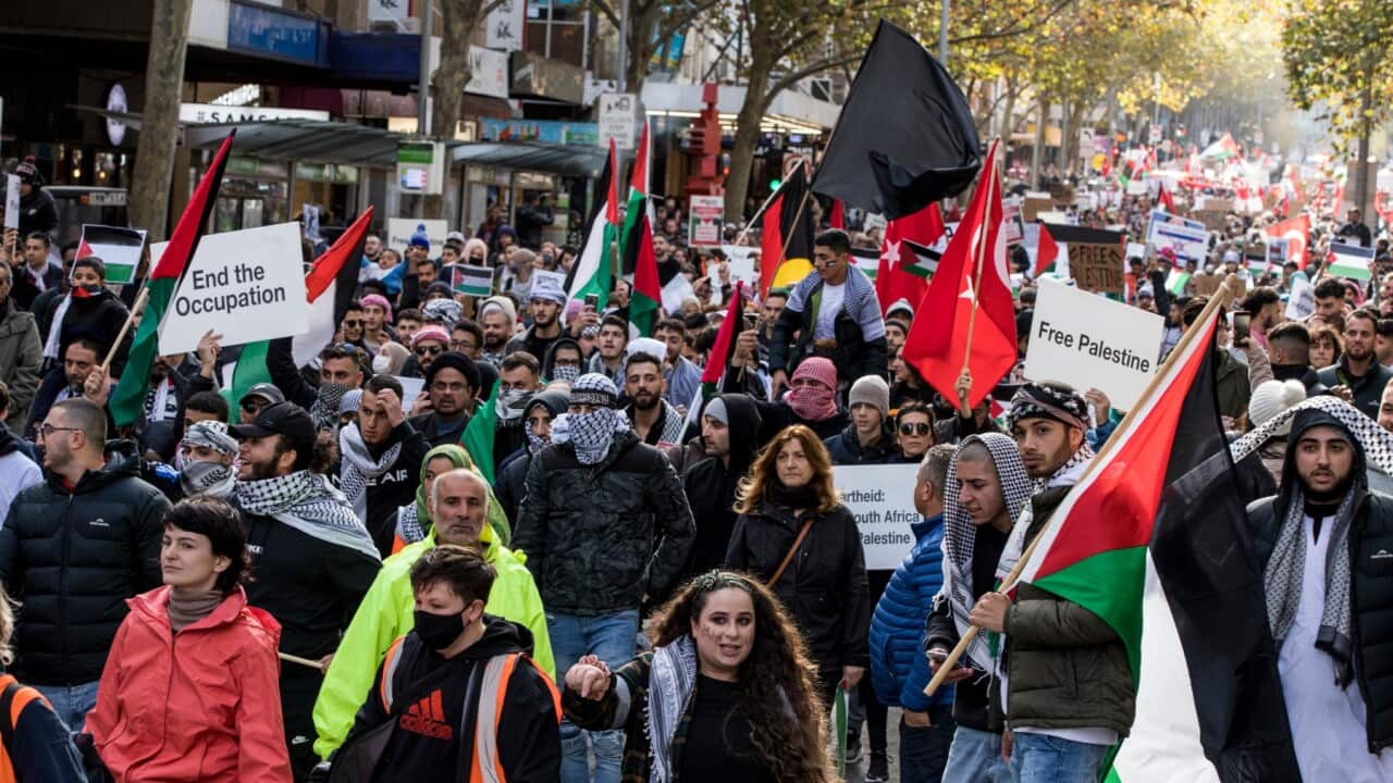 Pro Palestinian protest