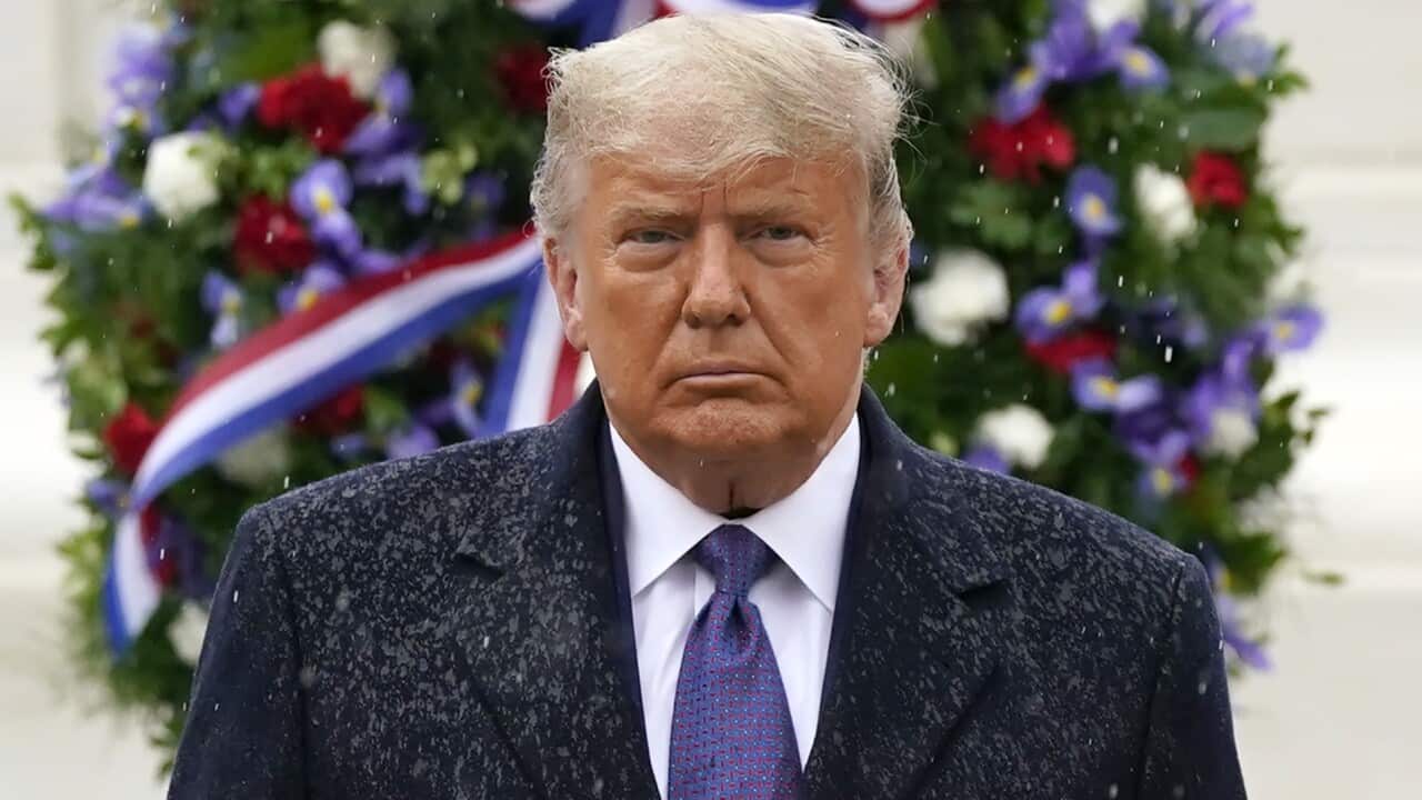 President Donald Trump participates in a Veterans Day wreath laying ceremony at Arlington National Cemetery.
