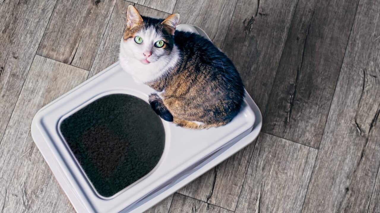 Image for read more article 'READ MORE'