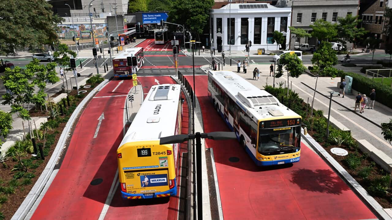 BRISBANE TRANSPORT STOCK