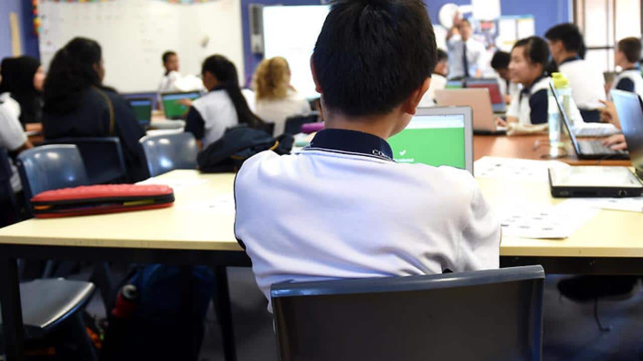 Results of national testing of Year 6 students show their science literacy has stagnated since 2006.