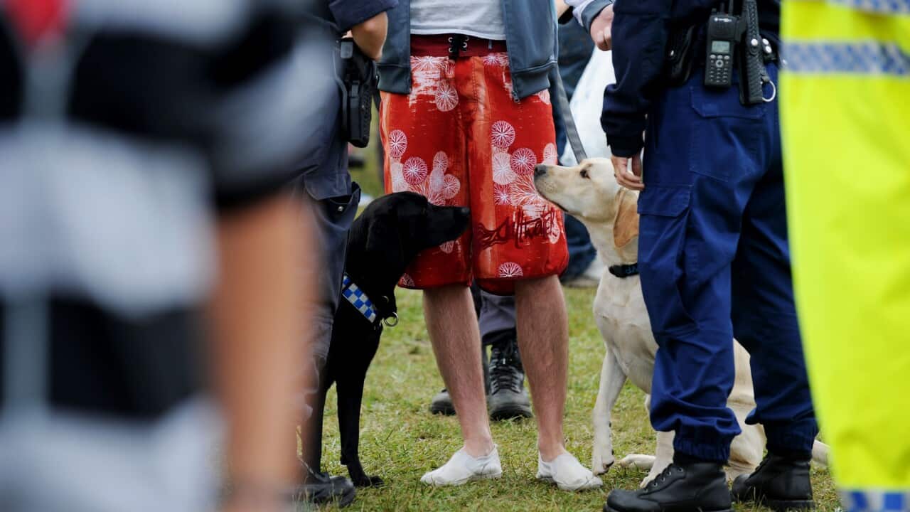 Two police officers and a sniffer dog stand on either side of a person wearing bright orange shorts.