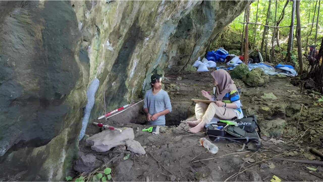 The dig is underway (supplied).jpg