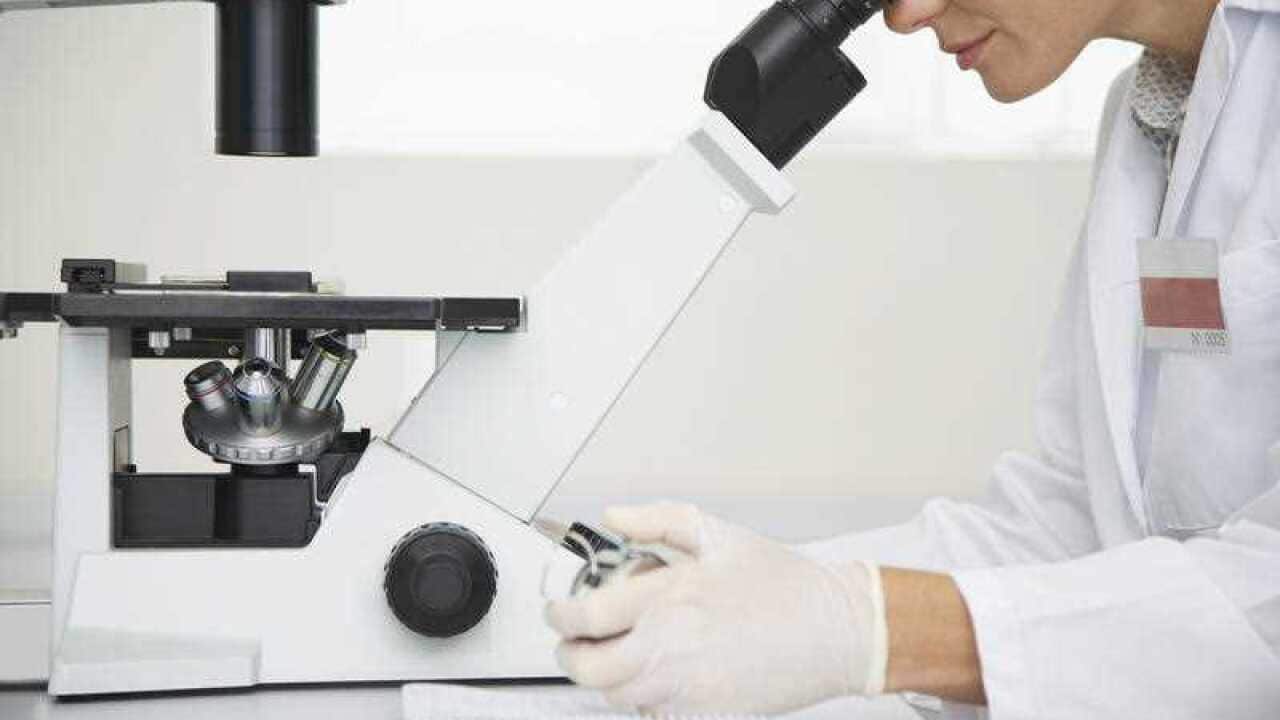 Image for read more article ''