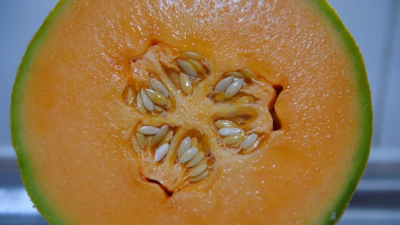 rokcmelon