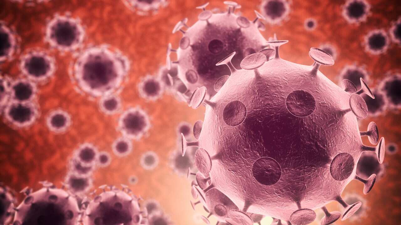 Microscopic view of bacteria in colour