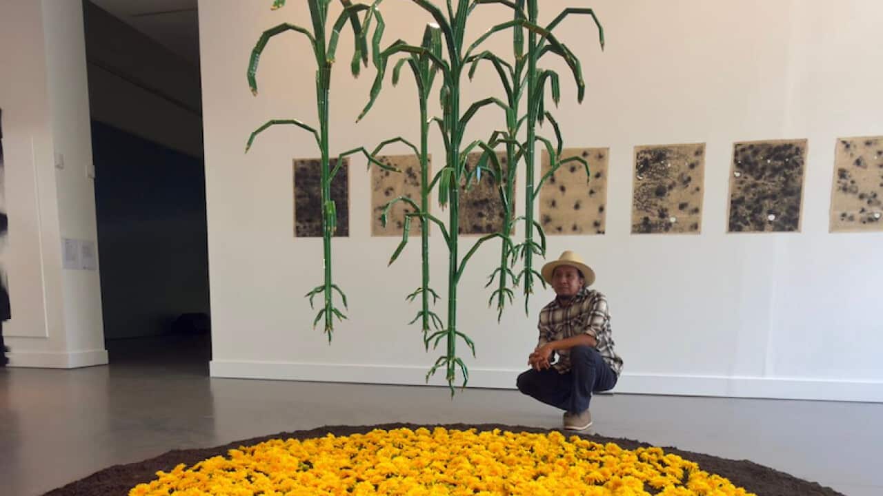 Screenshot 2026-03-12 at 16.03.13.png