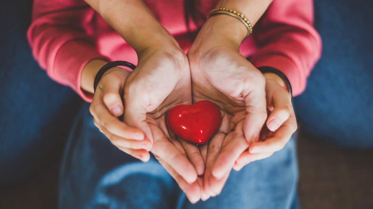 التبرع بالاعضاء "ولادة جديدة" يتنظرها 1650 مريض أسترالي على قوائم الانتظار حول البلاد