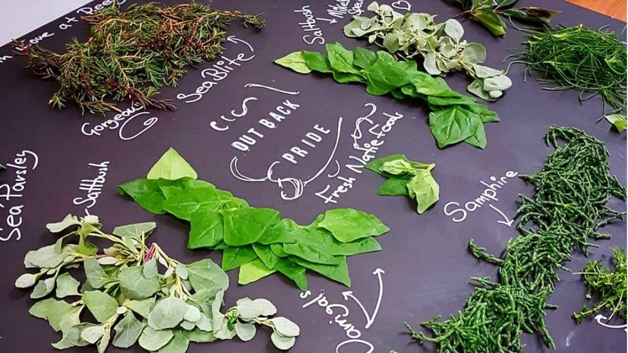 Outback Pride native Australian herbs and spices