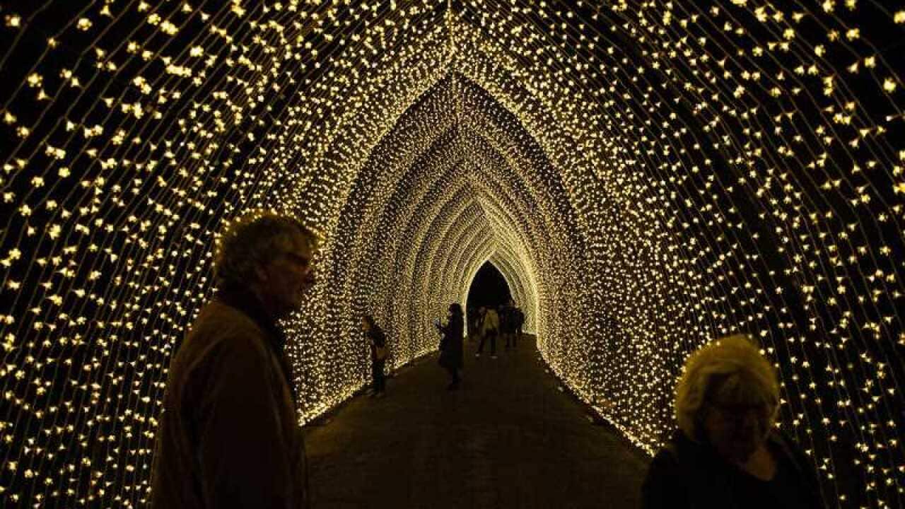 Image for read more article ''