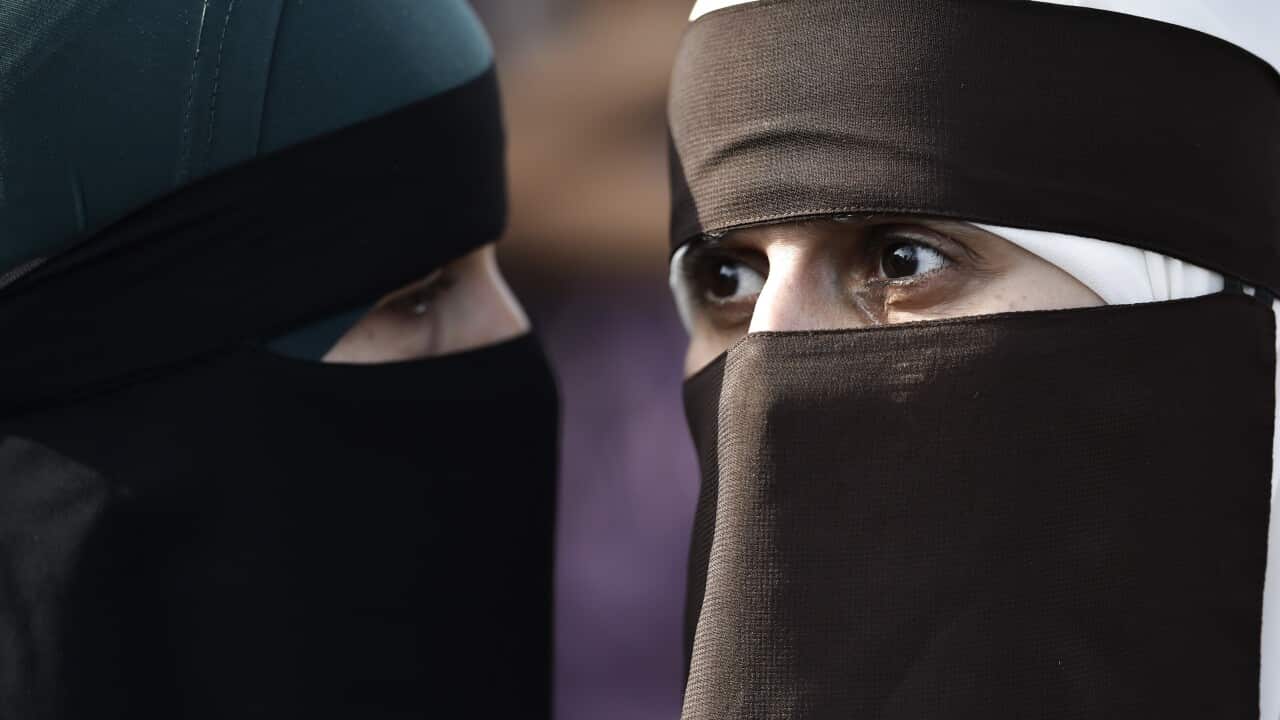 A Dutch ban on burqas has drawn criticism from a United Nations racism expert.