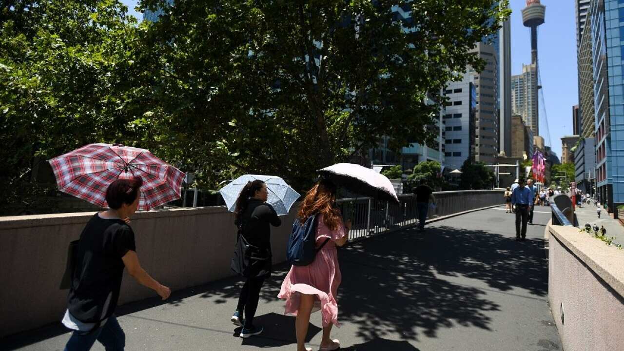 A hot day in Sydney's CBD.