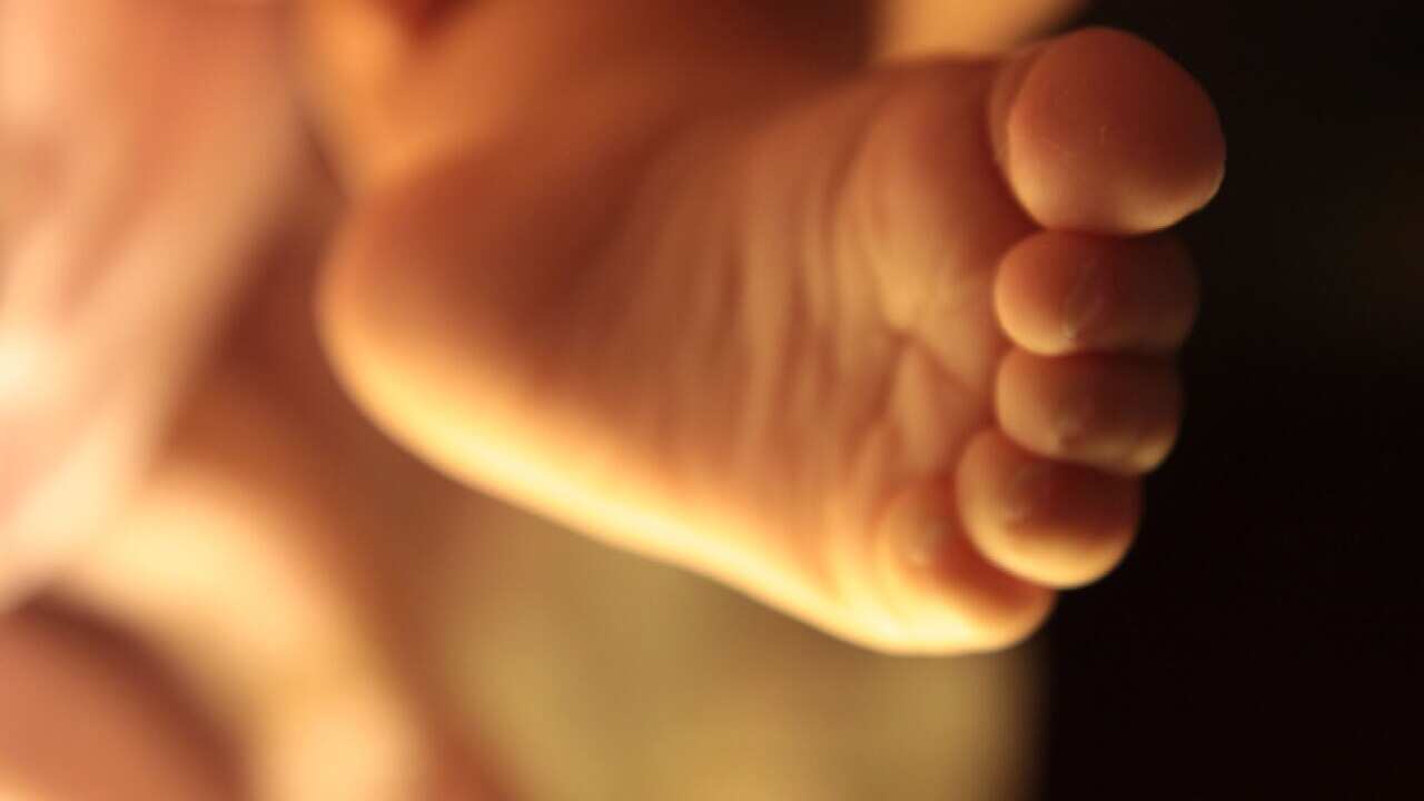 maternity-parental-leave_b_120416_aap_538060023
