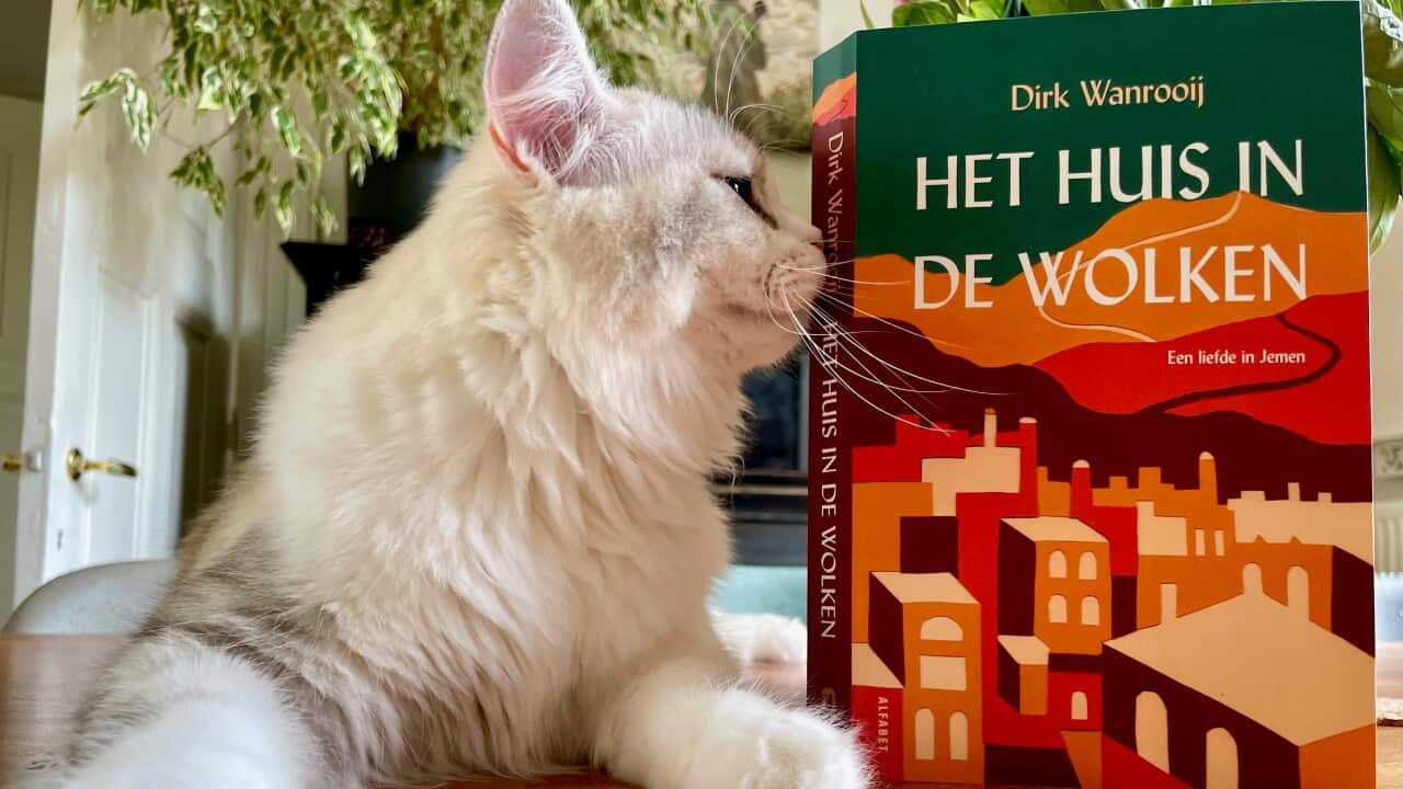 Het huis in de wolken.jpg