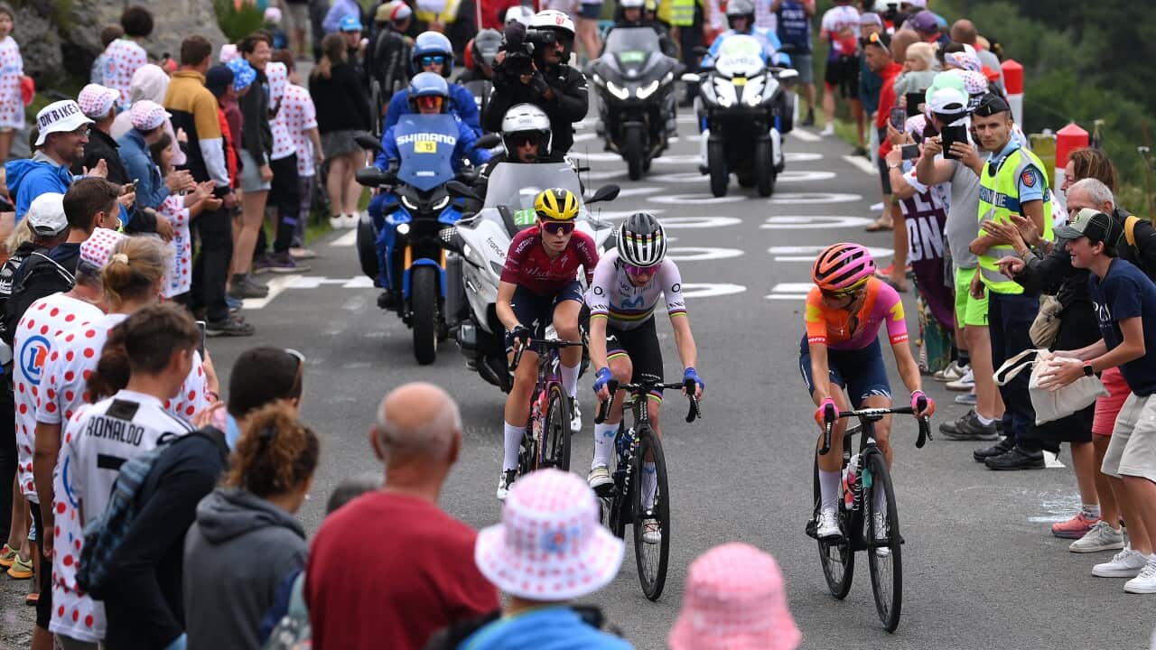 niewiadoma AVV Vollering.jpg