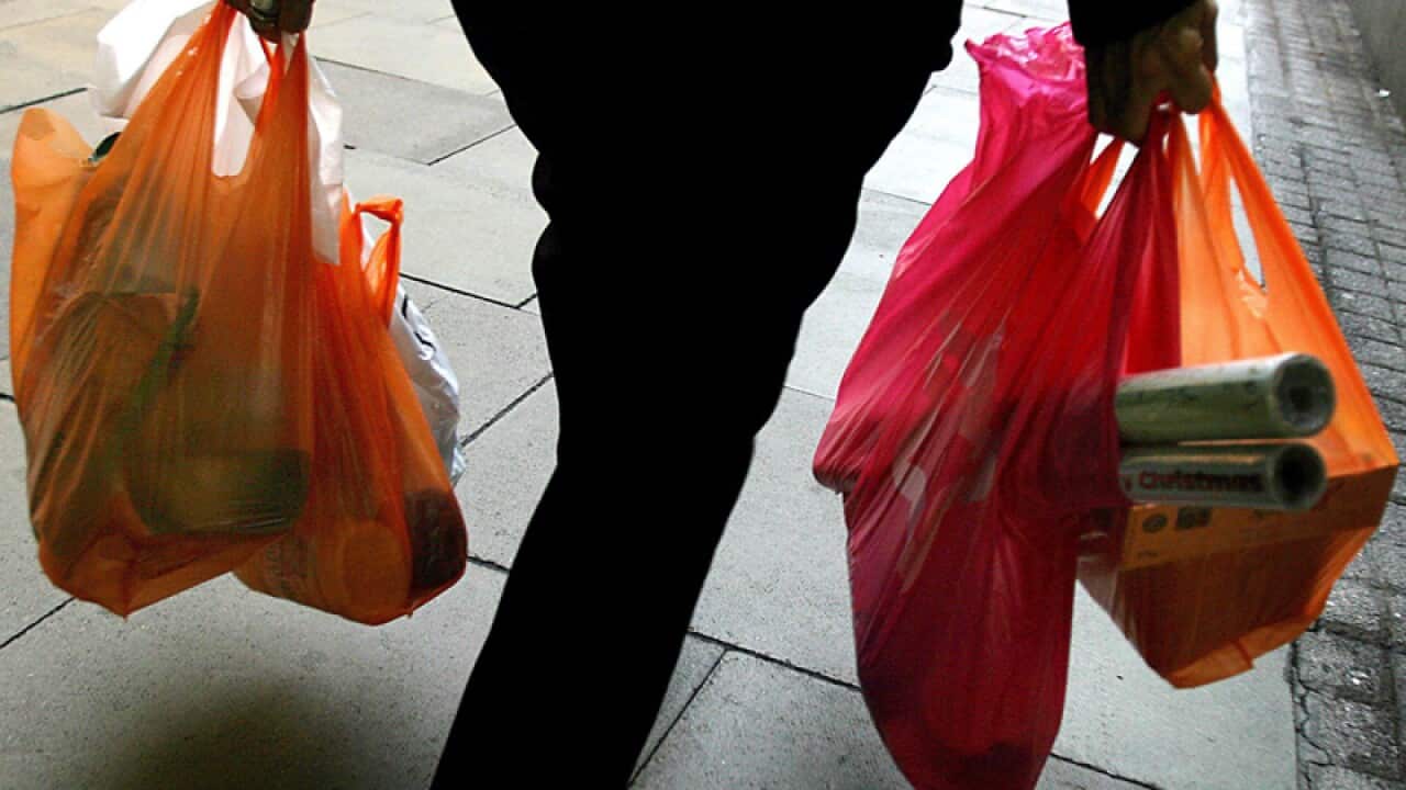 Qld considers plastic bag ban