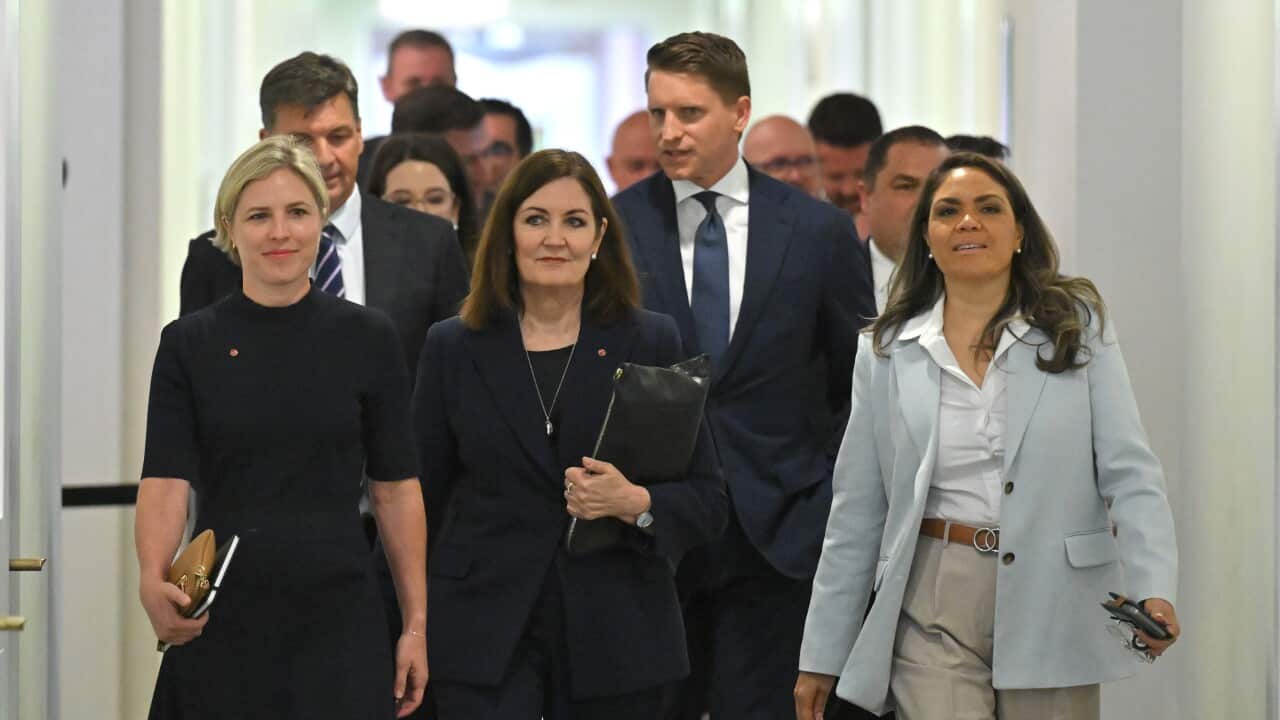 Liberal MPs and Senators dressed in Navy or blue, with notebooks in hand, walk into a party room.