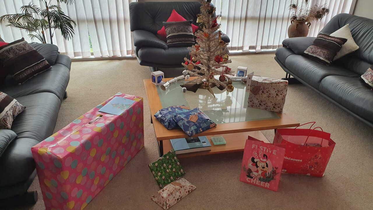 Tiny Christmas Tree and presents