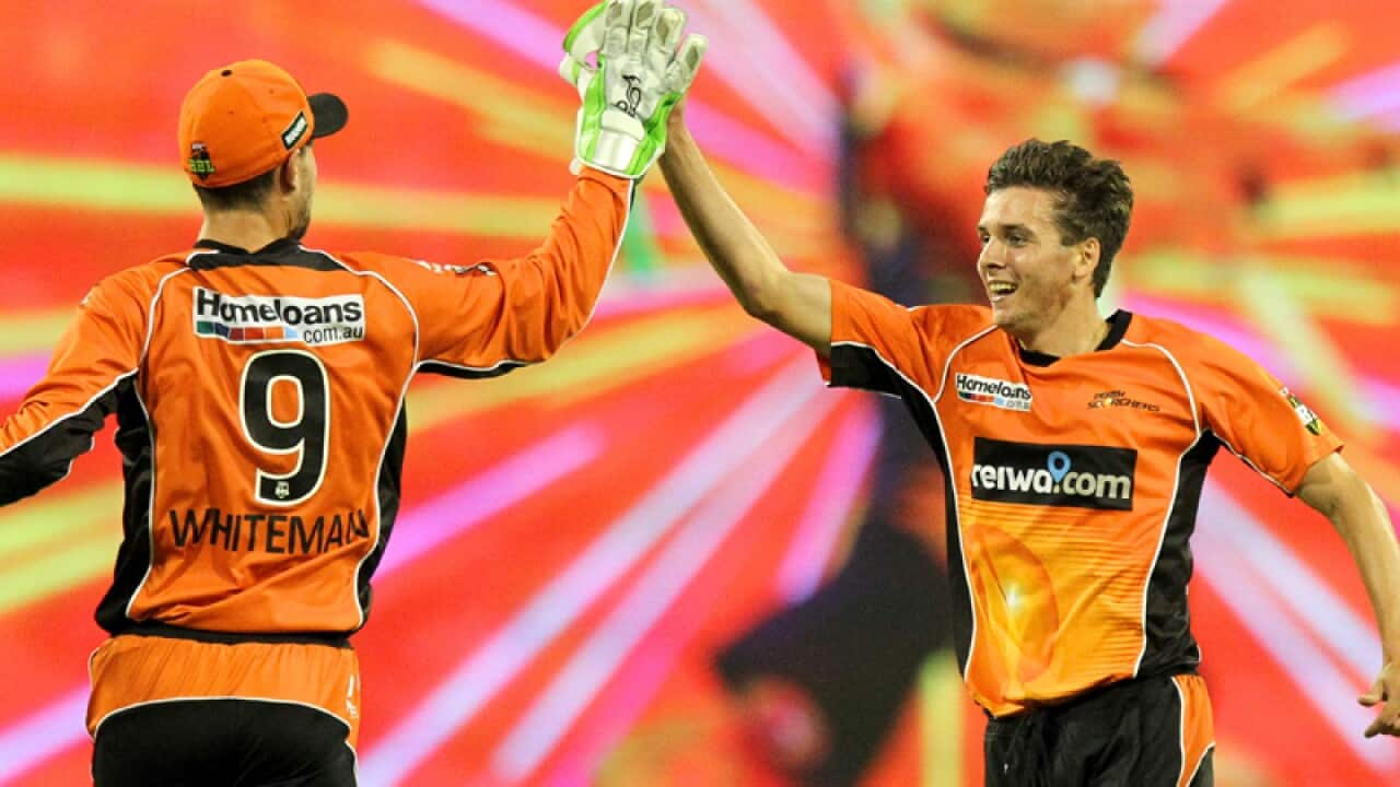 Jhye Richardson of the Scorchers celebrates with Sam Whitman