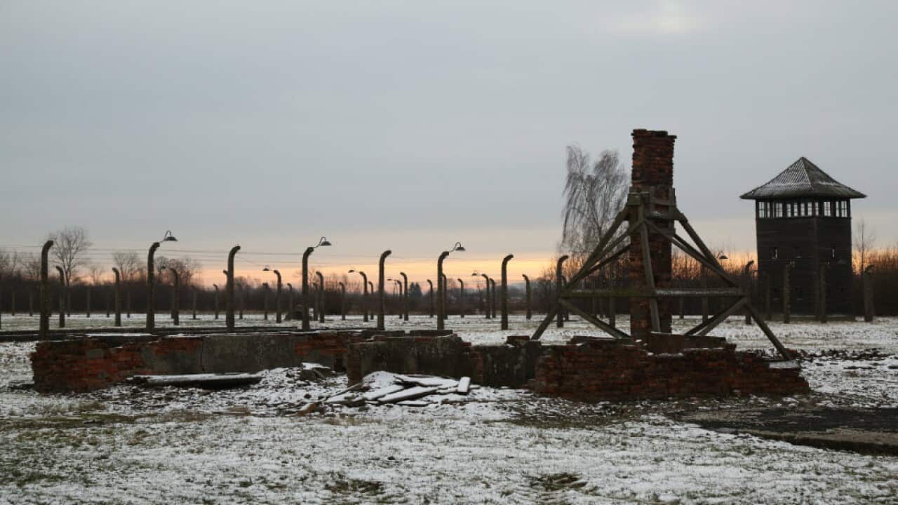 First light at Auschwitz-Birkenau