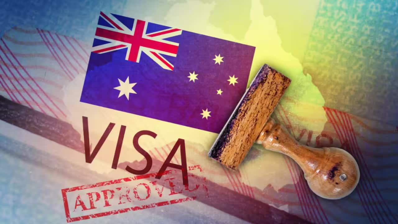 visa 24-25.png
