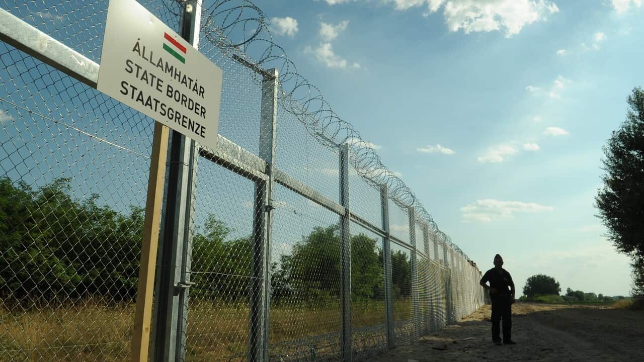 Hungarian Serbian border fence