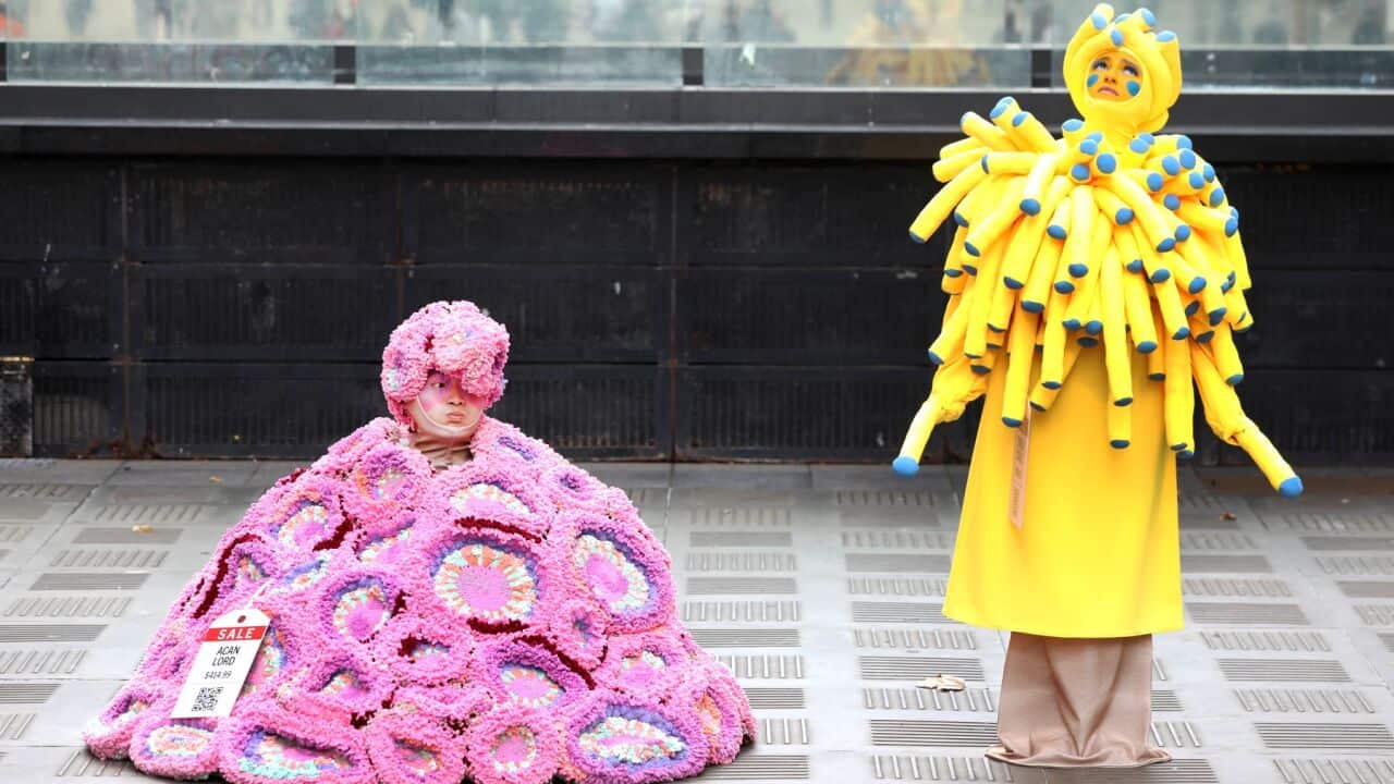 Activist dressed as wild coral performing during the launch of an Australian Marine Conservation Society campaign (AAP Image-Jane Dempster) .jpg