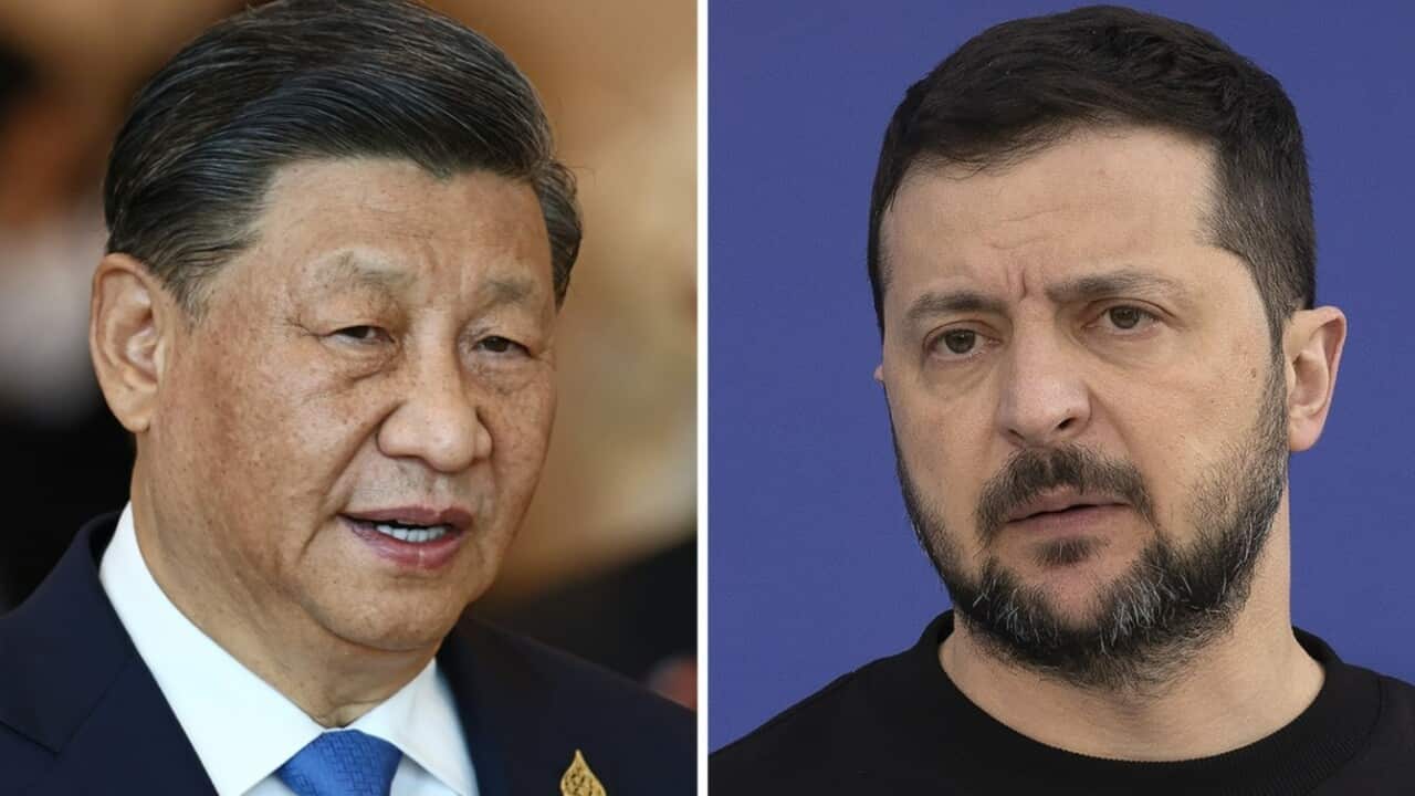 Xi Jinping Volodymyr Zelenskyy