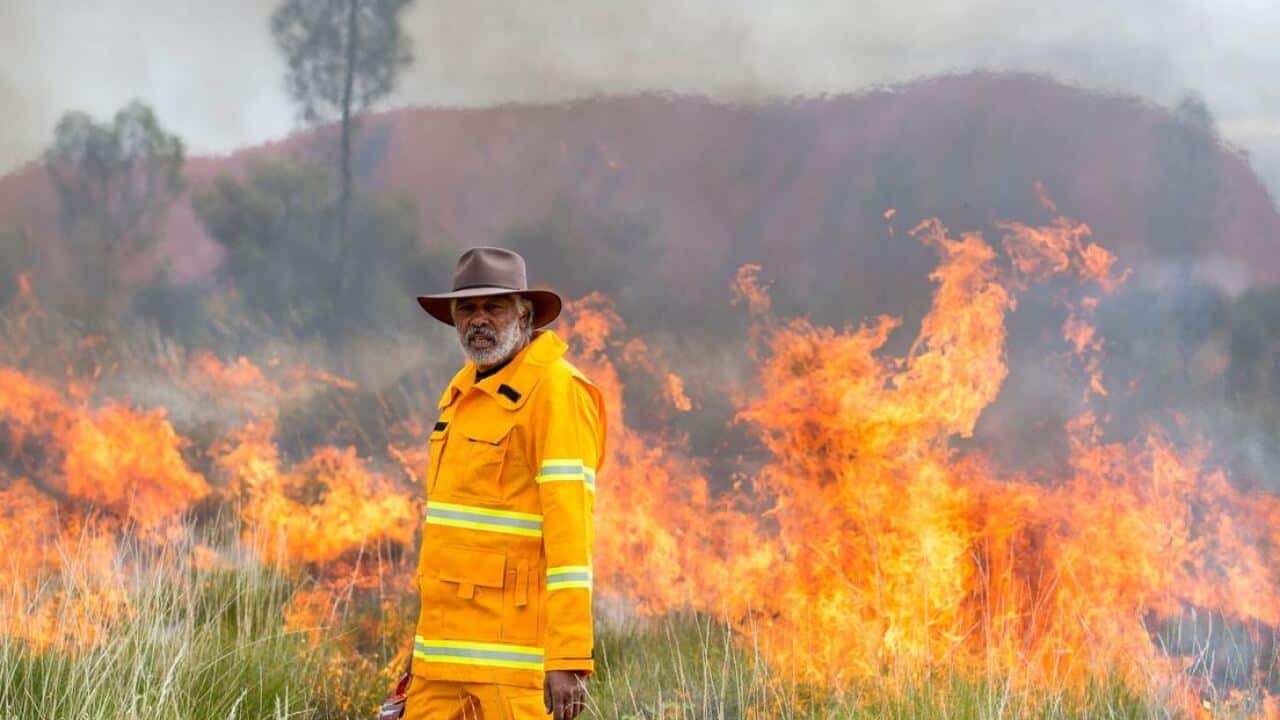 Ernie Dingo Going Places