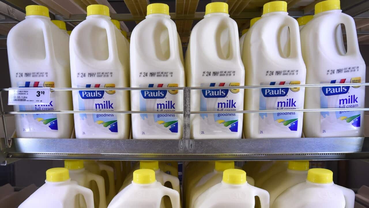 Milk bottles in a supermarket in Everton Park in Brisbane's northern suburbs