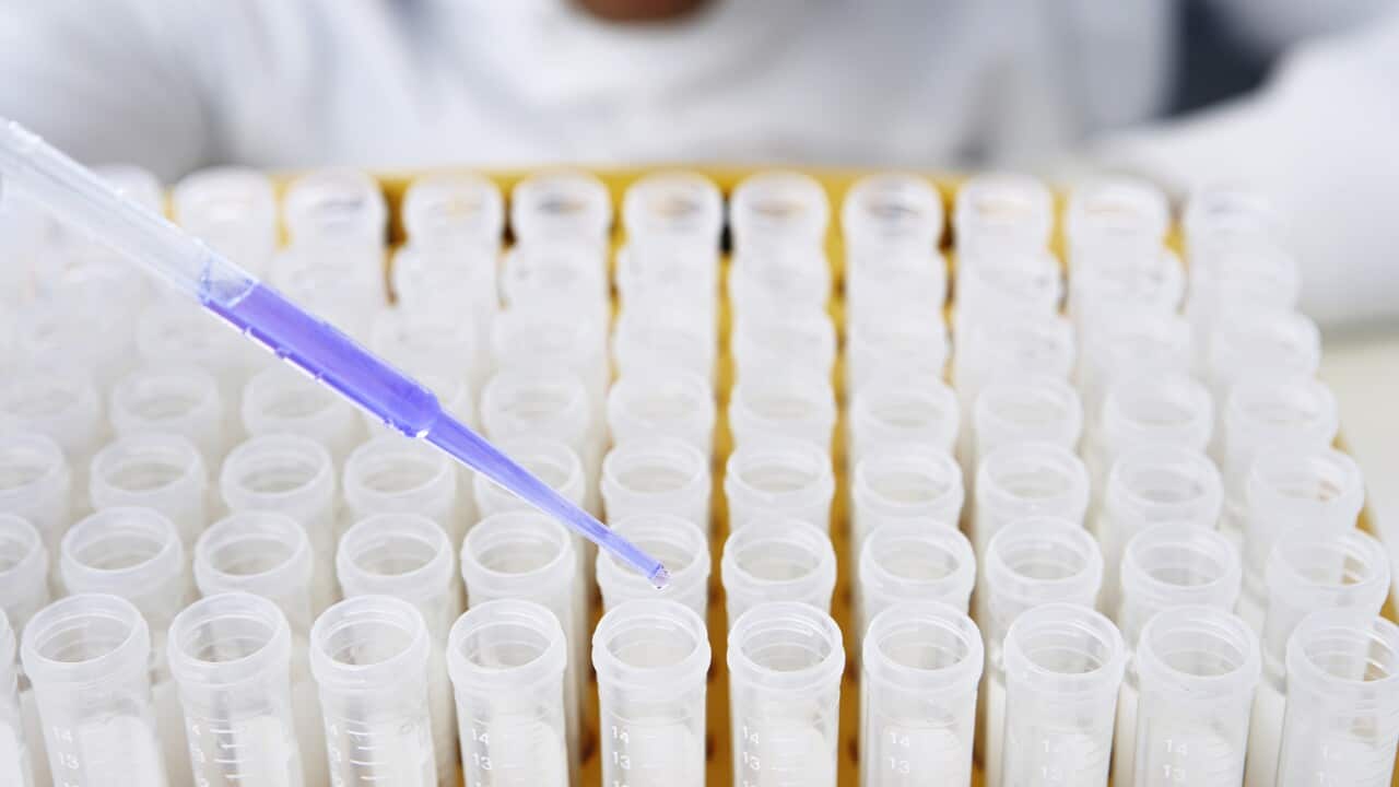 Lab worker adding blue liquid to test tubes.