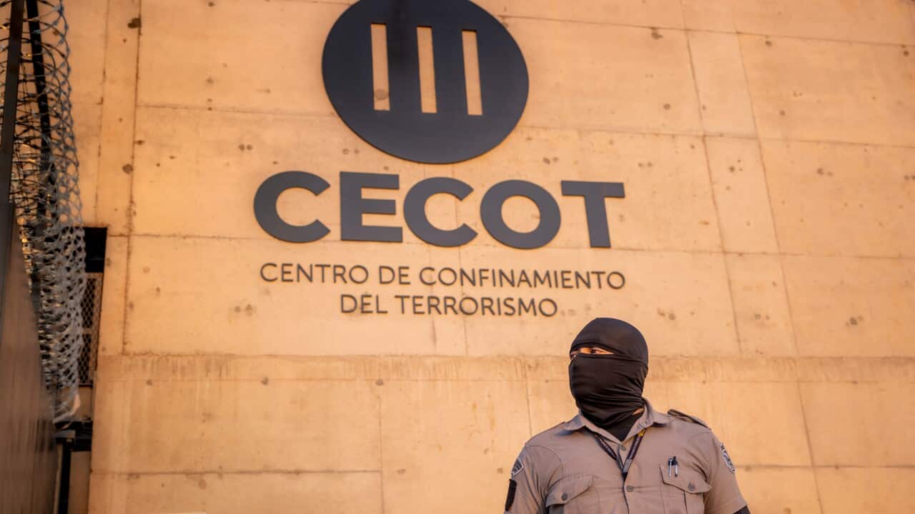 Image for read more article 'Te puede interesar:'