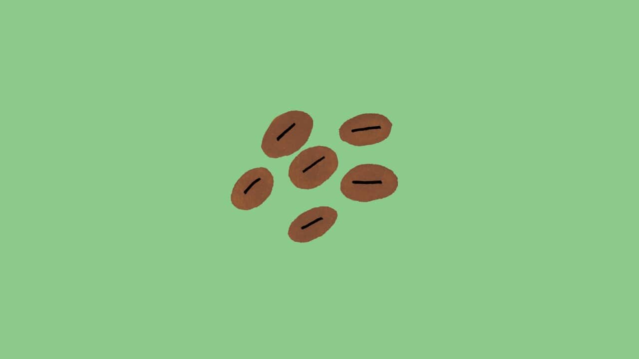 EPISODE_COFFEE Should you really eat that