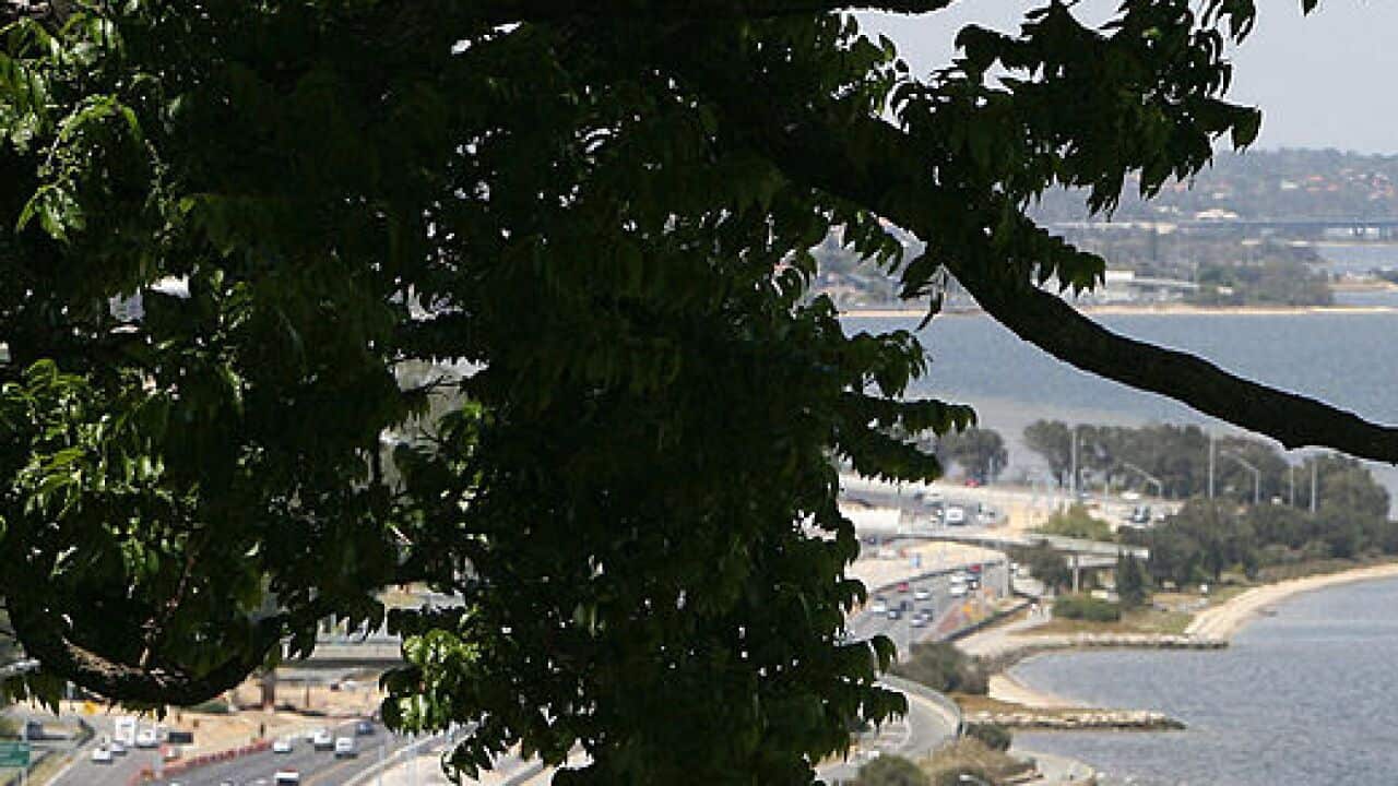 A man rests on his bike (C-below), as he