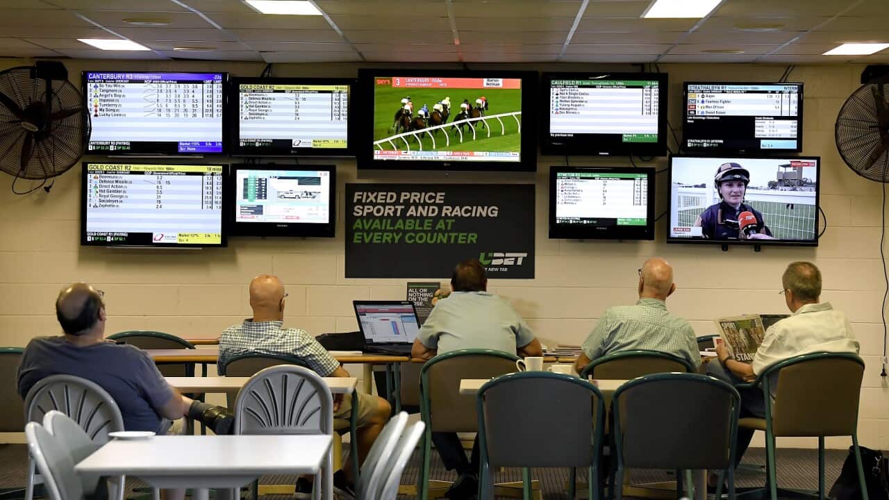 RACING GOLD COAST MIDWEEK