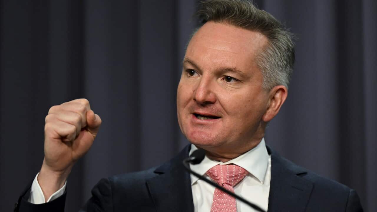 Minister for Climate Change & Energy Chris Bowen says the energy market is a 'complicated beast'