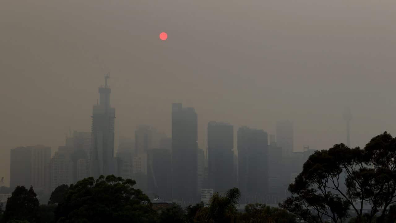 Image for read more article 'READ MORE'