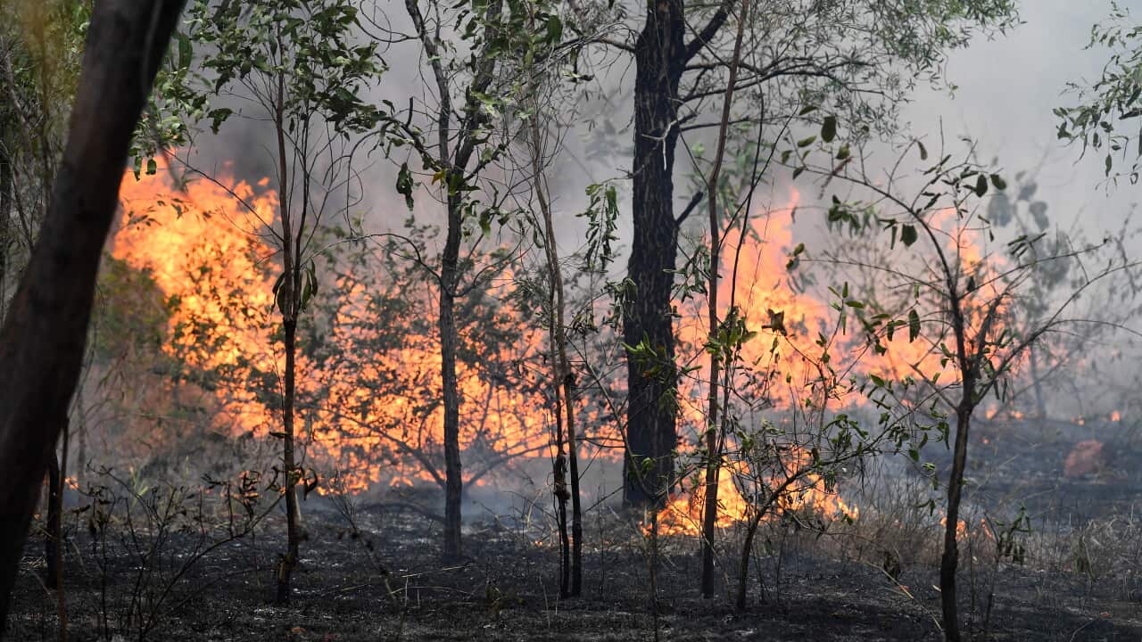 A small bushfire or "dry burn" is seen on the way to Aurukun, Queensland