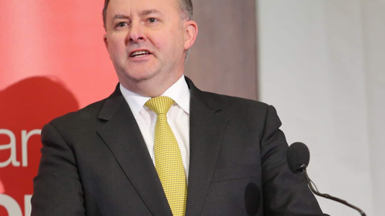 Labor leadership candidate Anthony Albanese