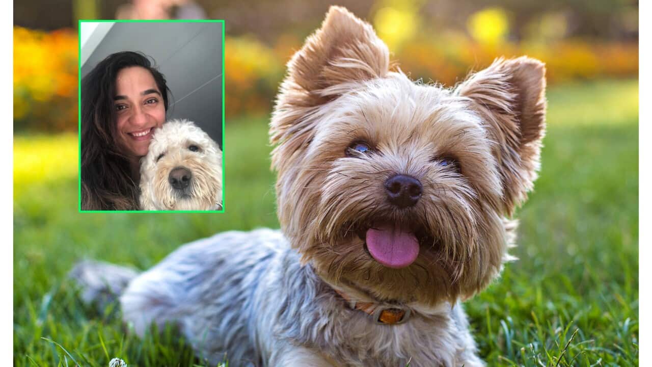 Image for read more article 'READ MORE'