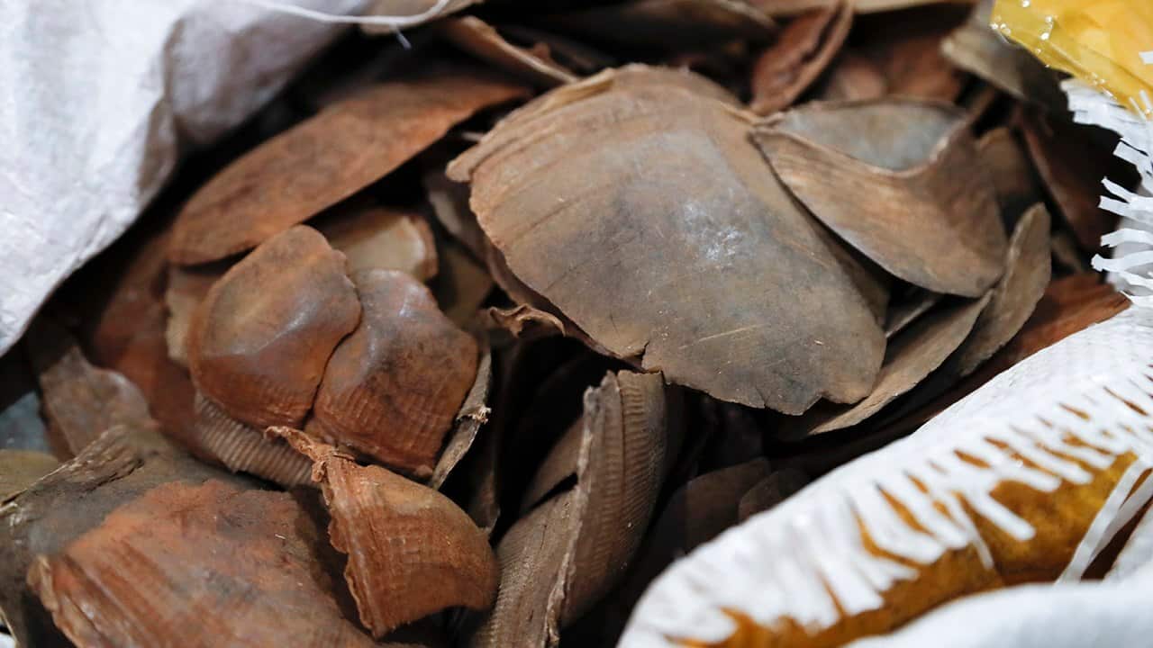 Image for read more article ''