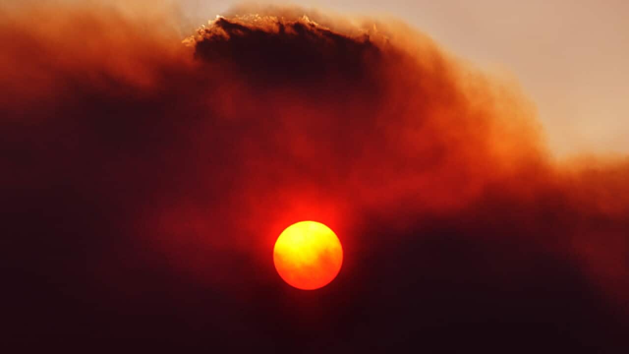 Thousands of people were left stranded as three bushfires burn out of control in Tasmania.