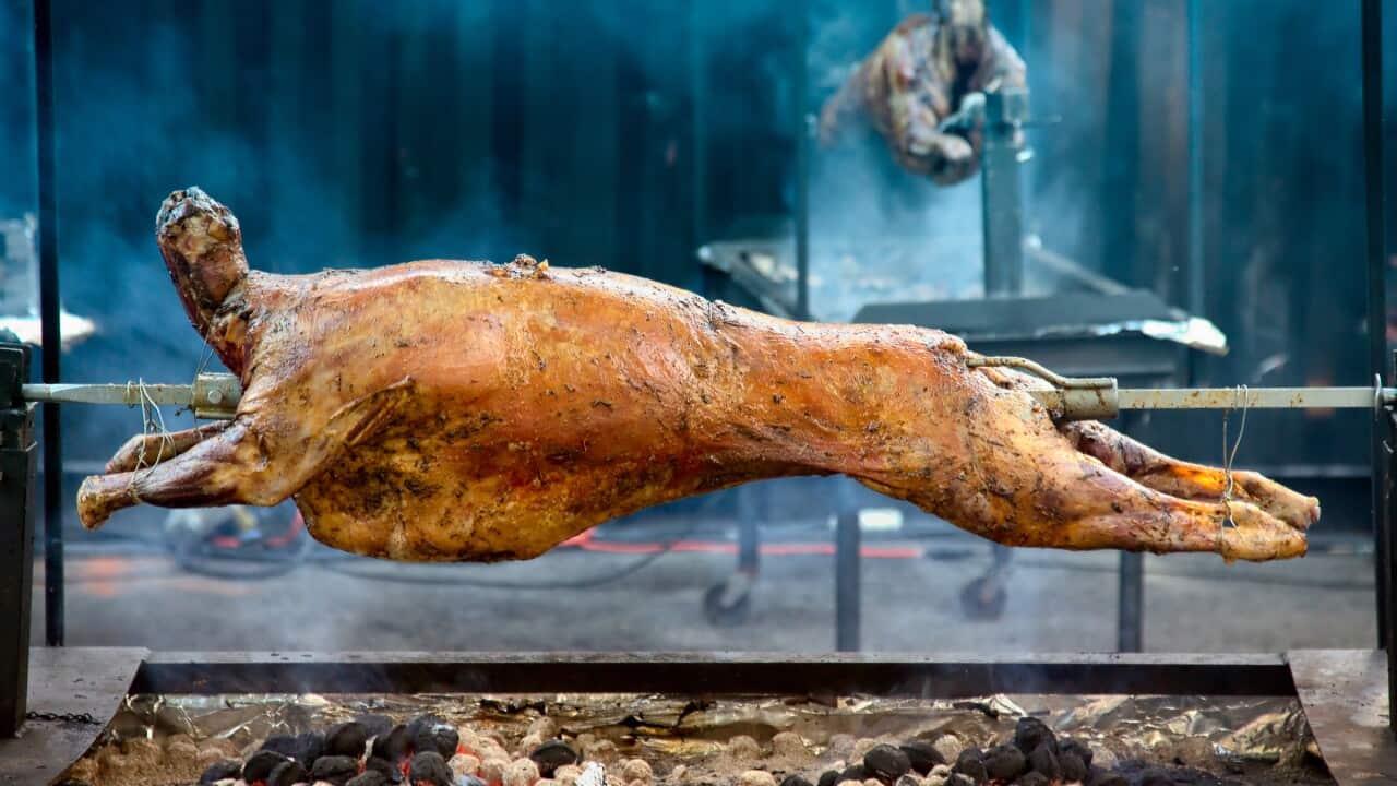 Image for read more article 'READ MORE'