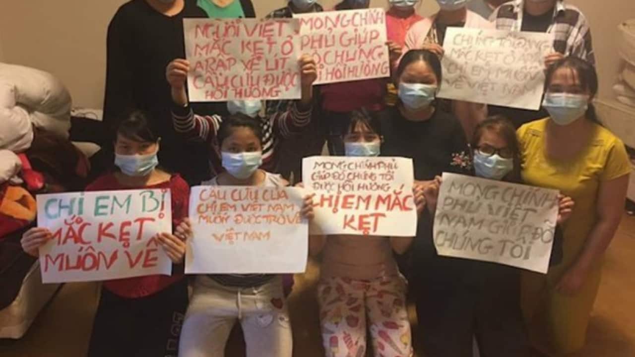 Image for read more article ''